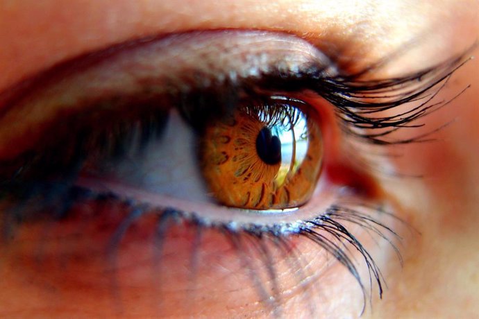 Afectats per glaucoma demanen més investigació sobre la influncia que tenen els canvis hormonals de la dona