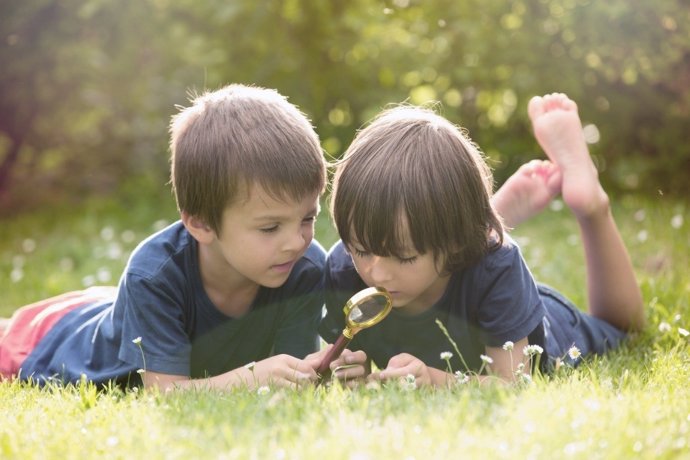 10 Reglas De Oro Para Cuidar El Medio Ambiente, Según AMEI