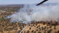 Declarado un incendio forestal en San Bartolomé de la Torre (Huelva)