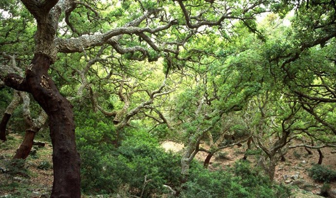 Ecosistemas de Andalucía