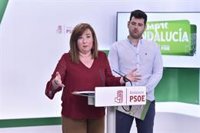 PSOE-A ve "indecente" que Junta vuelva a utilizar a los dependientes fallecidos como "arma de confrontación política"