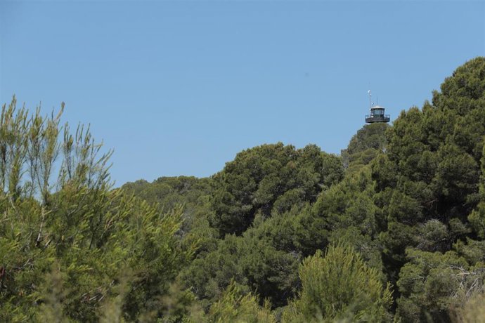PATERNA REFUERZA EL OPERATIVO DE VIGILANCIA FORESTAL EN LA VALLESA ANTE LA LLEGADA DEL CALOR