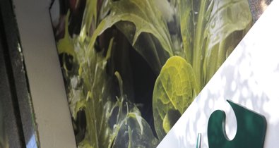 EpAgro
