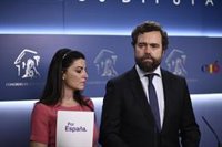 Vox pide un "cambio sustancial" en el Presupuesto andaluz de PP y Cs "o va a ser muy difícil que se apruebe"