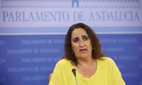 Adelante critica el "chantaje constante" de Vox y acusa al PSOE de "titubear" sobre la enmienda a la totalidad