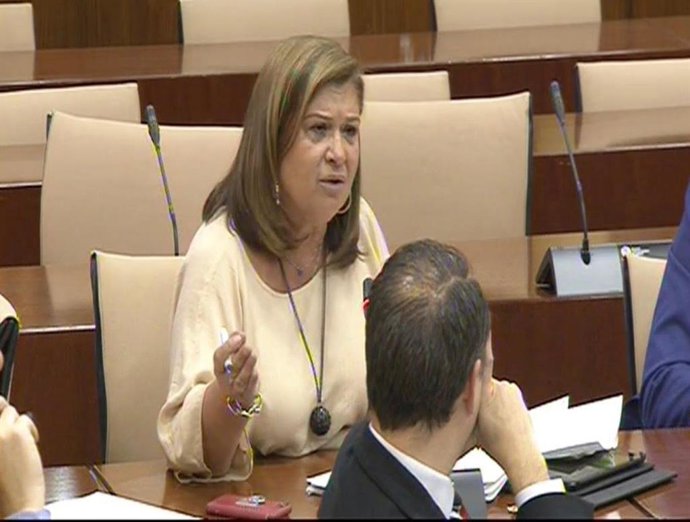 Huelva.-PP acusa a PSOE de "desfachatez política" por exigir "ahora" el desdoble de A-483 tras "años y años negándolo"