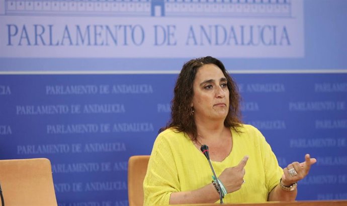 Adelante Andalucía elude pronunciarse sobre la destitución de Echenique y se remite a la reunión del Consejo Ciudadano