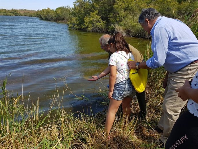 Málaga.-Alumnos reintroducen más de mil peces de una especie en peligro de extinción en la desembocadura de Guadalhorce