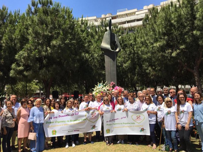 Málaga.- Un total de 74 donaciones permiten realizar 129 trasplantes de órganos y tejidos entre enero y mayo