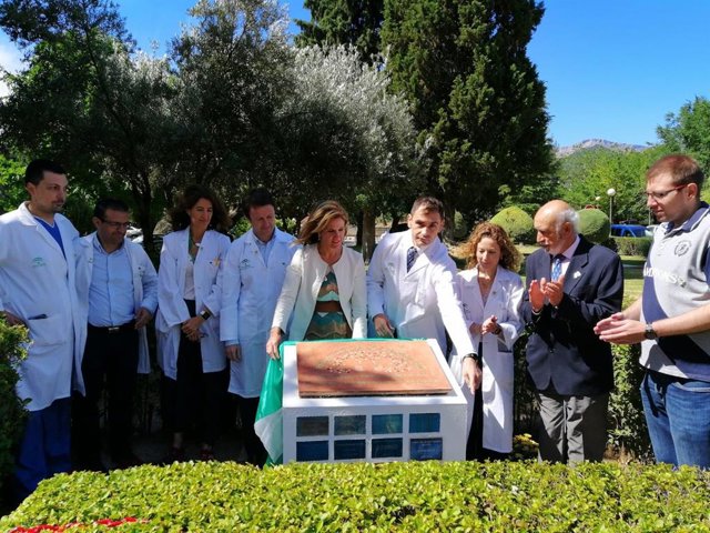 Jaén.- Homenaje a los 15 donantes de órganos y tejidos del año pasado en la provincia
