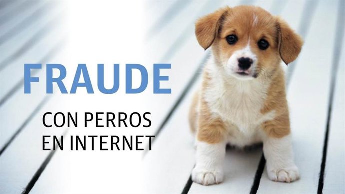 Sucesos.- Identificada en Burgos una mujer por estafar a otra 180 euros al ofrecer un perro por Internet que no entregó