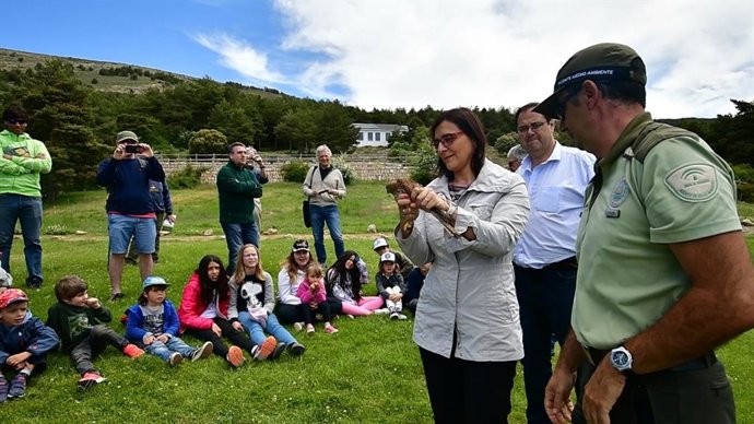 Granada.- Liberan un cernícalo en Sierra Nevada coincidiendo con el Día Mundial del Medio Ambiente