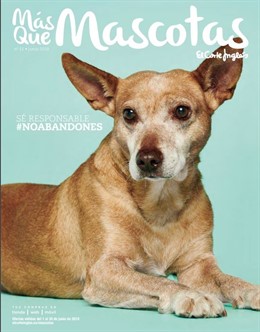El Corte Inglés lanza la campaña 'Sé Responsable #NoAbandones' contra el abandono de mascotas