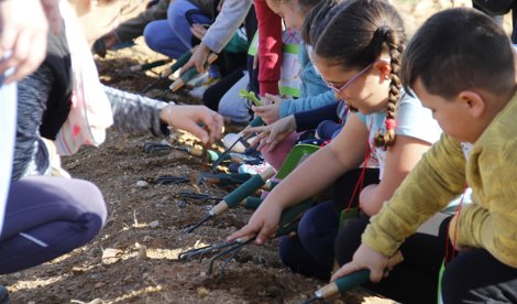 Cooperación y Desarrollo