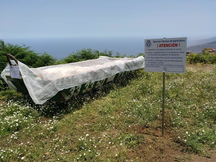El Cabildo de Tenerife inicia una campaña para retirar papas afectadas por la polilla guatemalteca