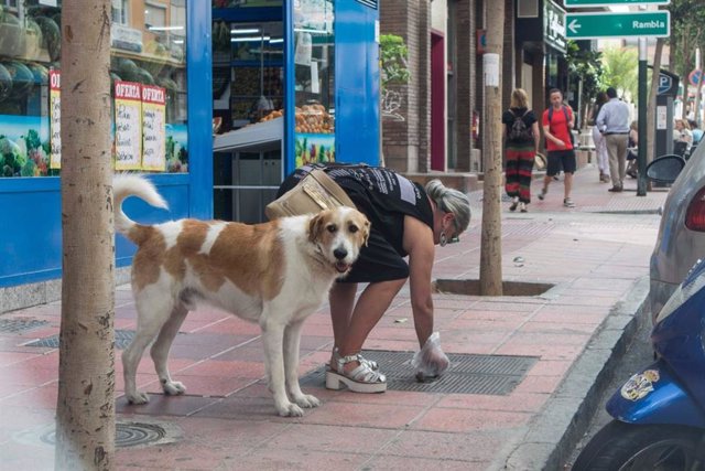Almería.-El Ayuntamiento modificará la ordenanza de limpieza para obligar a los dueños de perros a limpiar los orines