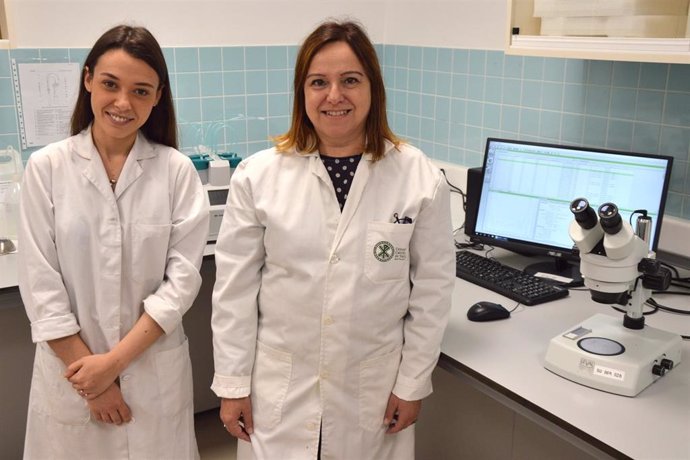 INVESTIGADORES DE LA UCV DESCUBREN QUE AÑADIR ESPECIAS AL ACEITE VEGETAL DISMINUYE LA PRODUCCIÓN