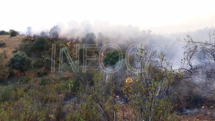Huelva.- Sucesos.- AMP.- Declarado un incendio forestal en el paraje Fuente de la Corcha, en Beas