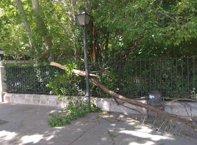 Las fuertes rachas de viento obligan a cerrar "por motivos de seguridad" el Campo Grande de Valladolid