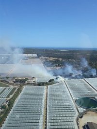 El Infoca trabaja en la extinción de un incendio declarado en Moguer (Huelva)