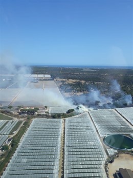Huelva.- Sucesos.- El Infoca trabaja en la extinción de un incendio declarado en Moguer