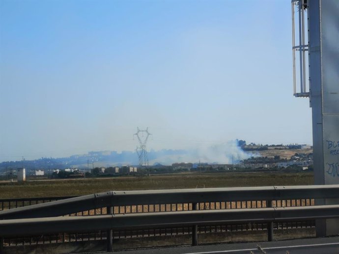 Sevilla.- Declarado un incendio en el cerro del Carambolo tras las acciones de reforestación acometidas en la zona