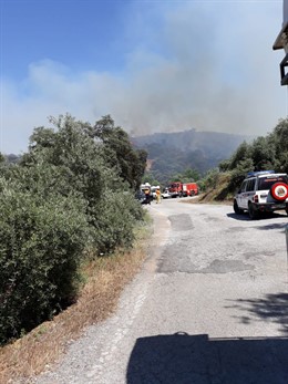 Córdoba.- Sucesos.- Estabilizado el incendio forestal declarado en Adamuz