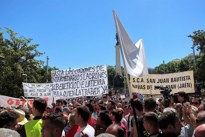 Jaén.- AMP.- Miles de agricultores protestan en Jaén ante la "situación de emergencia" en el olivar