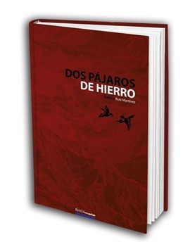 El periodista y poeta Gaztea Ruiz presenta su novela 'Dos pájaros de hierro', sobre la gran huelga de 1890