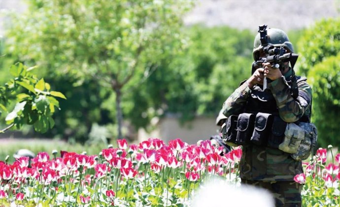 Afganistán.- Afganistán sigue siendo el epicentro del opio mundial a pesar de una década de esfuerzos