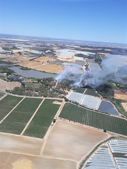 Huelva.- Sucesos.- Declarado un incendio forestal en Palos de la Frontera y otro en Punta Umbría