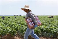 Trump niega que las condiciones del acuerdo con México estuvieran cerradas desde hace meses