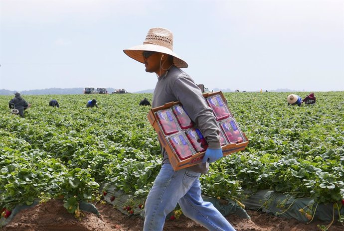 Migrant Farm Workers in Northern California