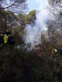Huelva.- Sucesos.- Estabilizado el incendio forestal de Moguer