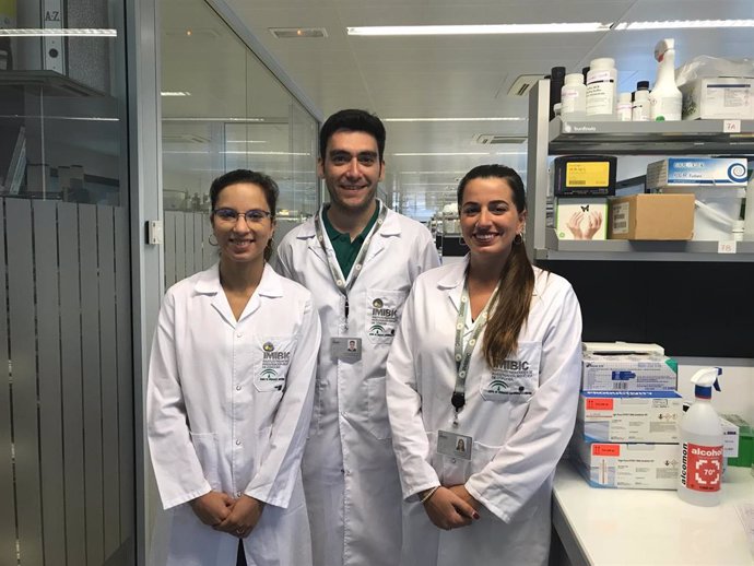 Córdoba.- Imibic descubre nuevos enfoques terapéuticos para tratar la pérdida de células renales en fracaso renal agudo