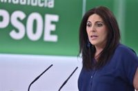 PSOE-A aconseja a Marín que se "desmarque" de la estrategia de Cs de "levantar el veto" a Vox