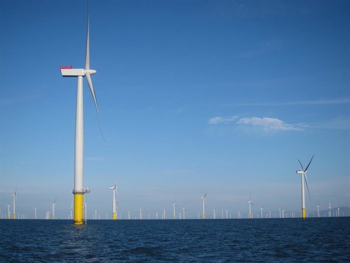 Iberdrola, parque eólico marino