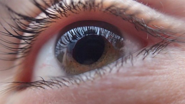 Un gel que se adhiere a la superficie del ojo podría reparar lesiones sin cirugía