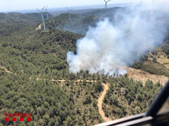 Sucesos.- Un incendio quema vegetación en El Perelló (Tarragona)