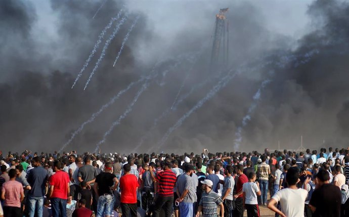 O.Próximo.- Respuesta a protestas en Gaza es "la receta para un mayor derramamiento de sangre", según relator de la ONU