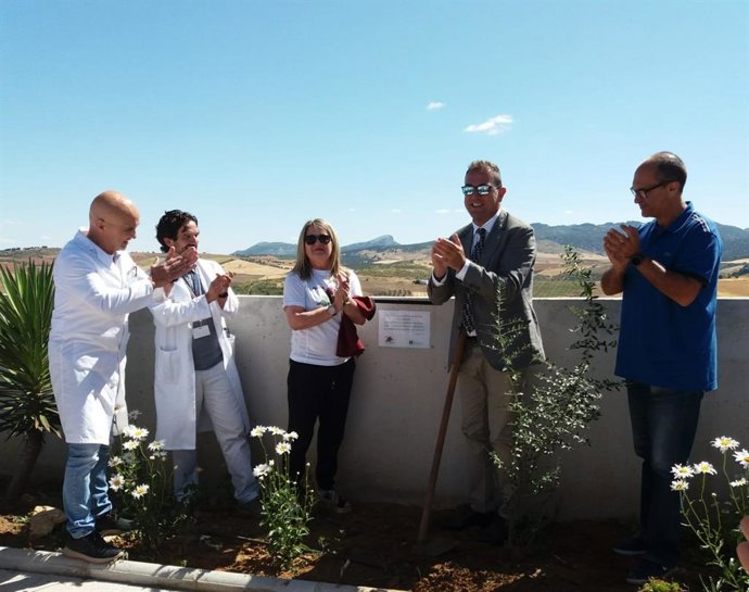 Málaga.- Homenaje a los donantes y sus familias en Ronda con la plantación simbólica de un árbol