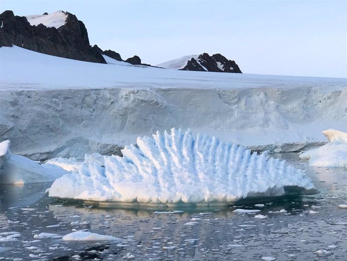 La anestesia funciona en las temperaturas extremas de la Antártida, según un estudio del Hospital Gómez Ulla
