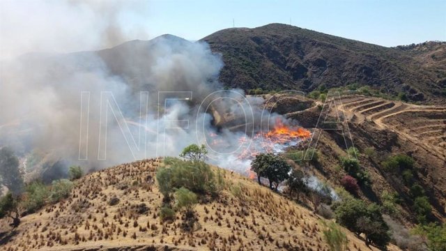 Málaga.- Sucesos.- Declarado un incendio forestal en el paraje La Escombrera en Coín 