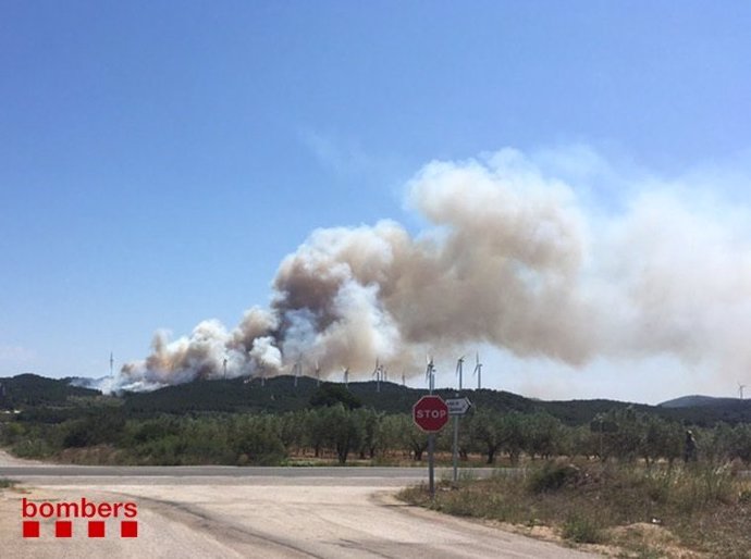 Sucesos.- Un incendio quema vegetación en El Perelló (Tarragona)