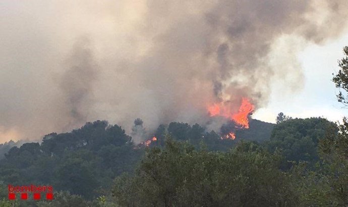 Successos.- Estabilitzat l'incendi del Perelló (Tarragona) després de cremar unes 200 hectrees