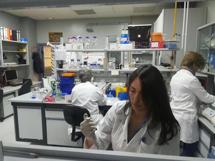 Investigadores del Cabimer