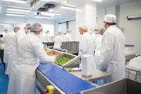 C-LM autoriza la licitación para contratar el servicio de 120 comedores escolares con una inversión de 36,9 millones