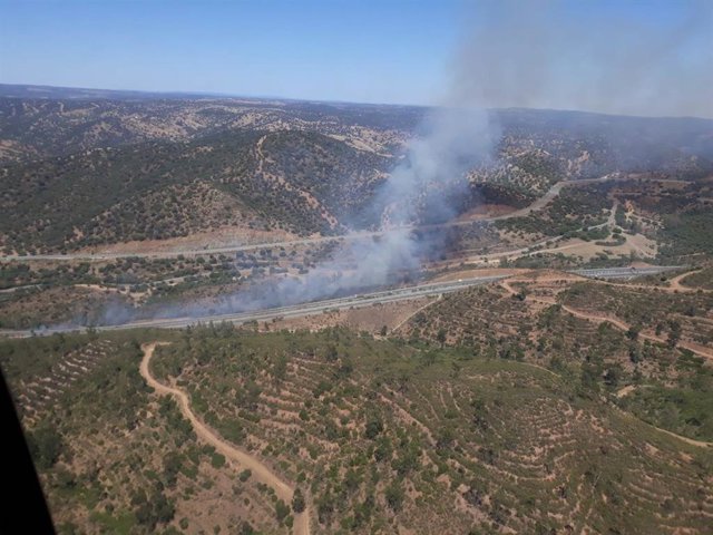 Sevilla.- Sucesos.- Estabilizado el incendio forestal de la Cuesta de la Media Fanega de El Garrobo
