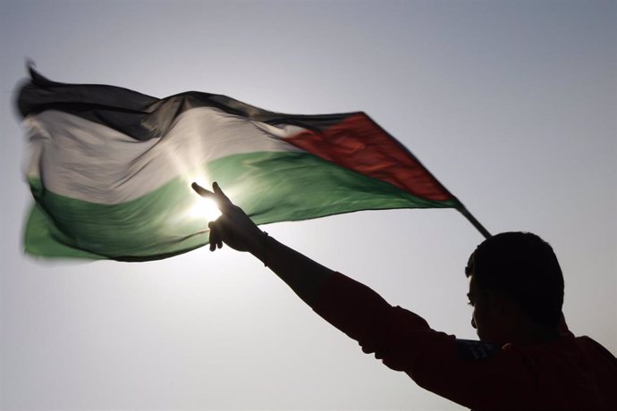 Bandera De Palestina