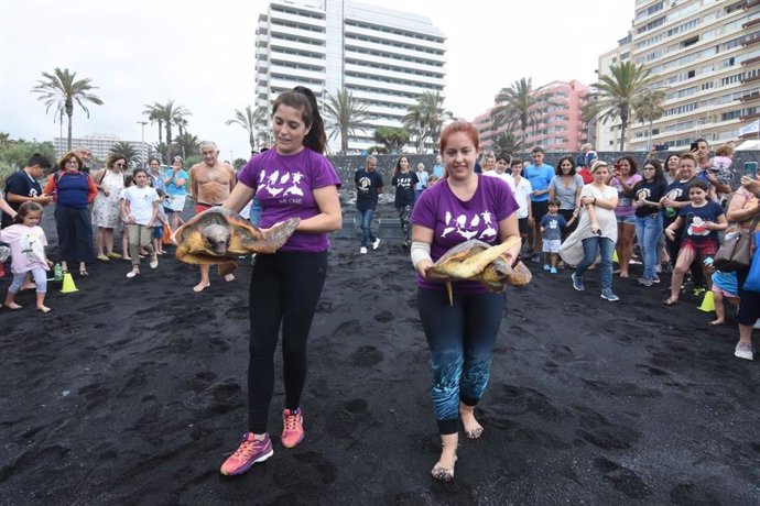Loro Parque Fundación celebra el Día Mundial de los Océanos con una gran limpieza de plástico y una suelta de tortugas